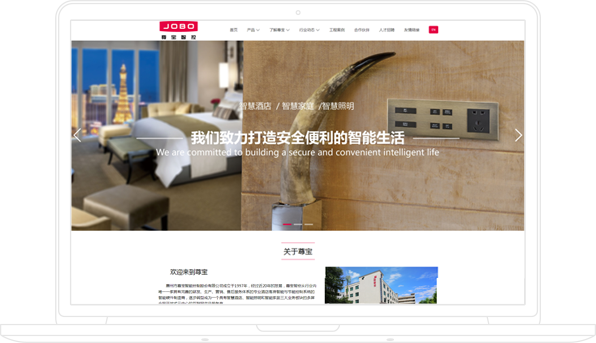 官網(wǎng)推廣與運(yùn)營